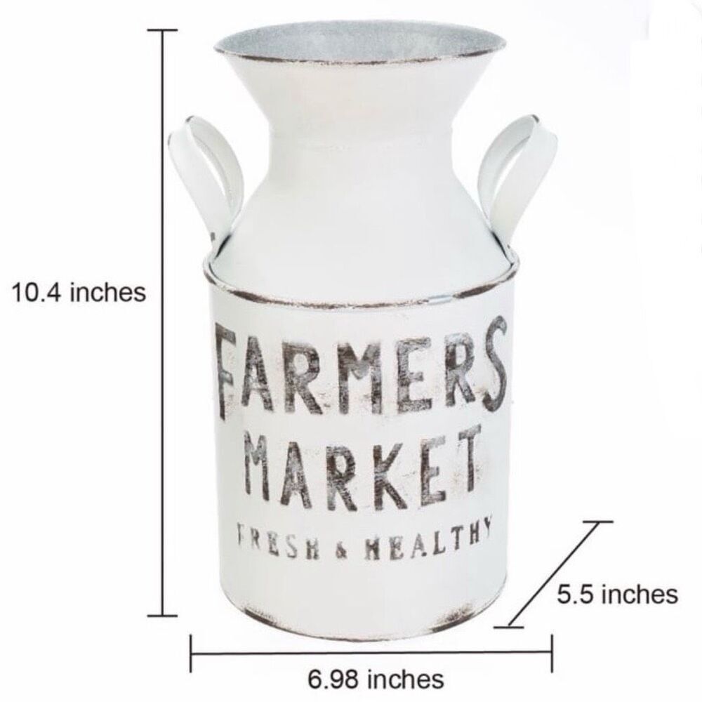 NWT Beautiful Farmers Market Metal Milk Jug vase Décor with Handles, White 10" H - Picture 5 of 15